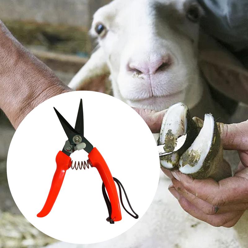 Sheep Hoof Trimmers Shrub Plan - Woodworking Horse review and price