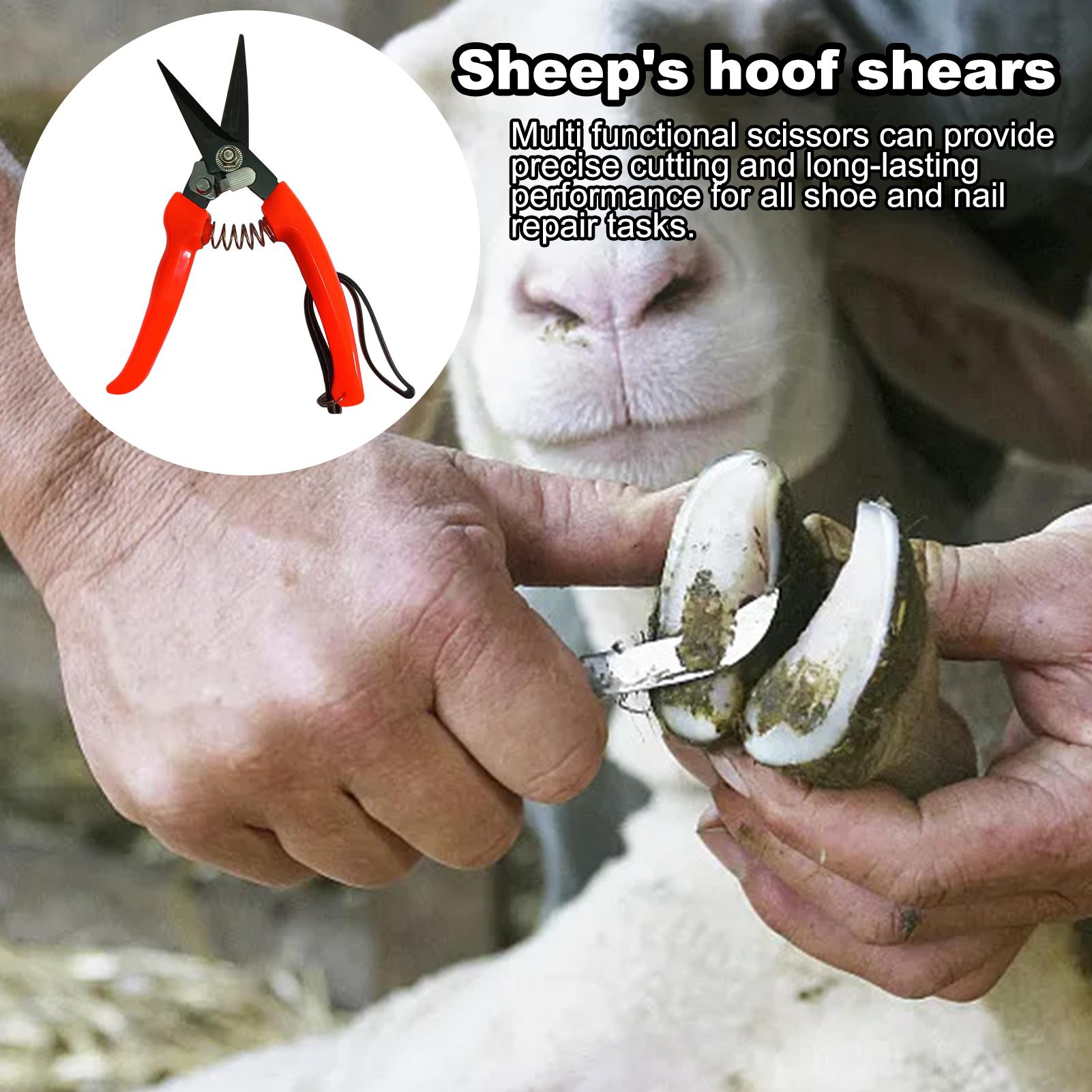 Goat Hoof Trimmer Ergonomic Sh - Woodworking Horse review and price