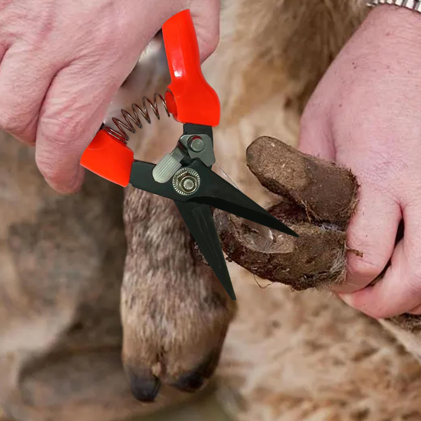 Goat Hoof Trimmer Ergonomic Sh - Woodworking Horse review and price