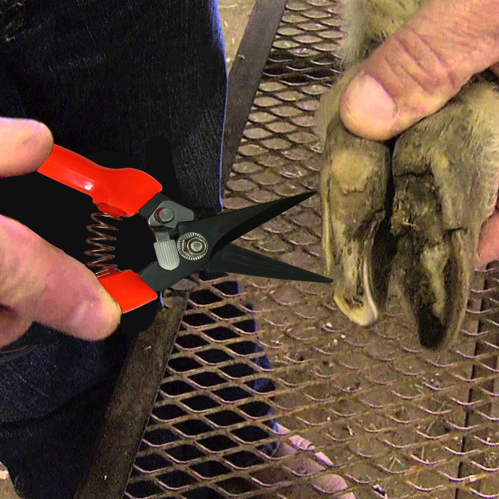 Goat Hoof Trimmer Ergonomic Sh - Woodworking Horse review and price